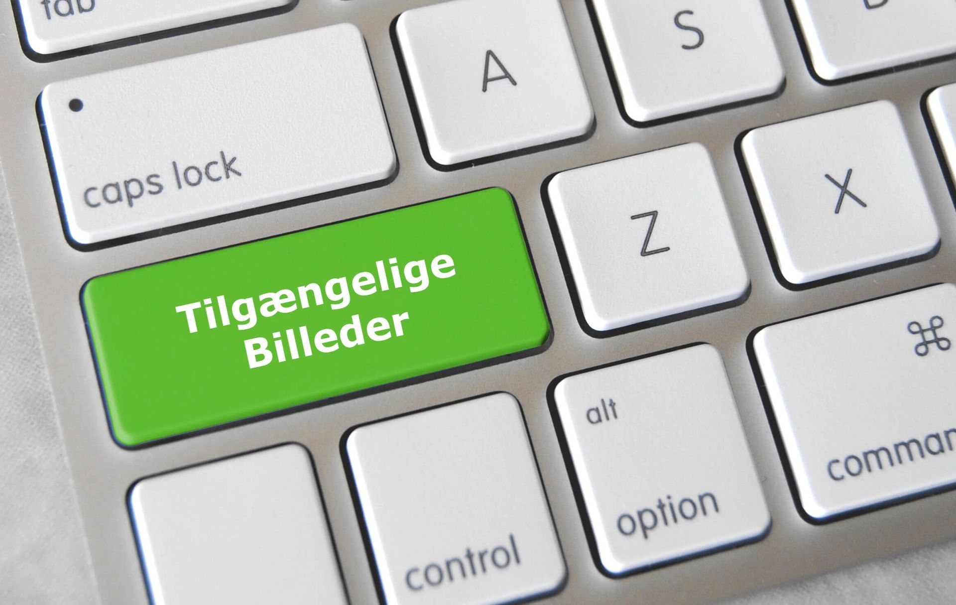 Webtilgængelighed for billeder: En guide til inkluderende og tilgængeligt online-indhold