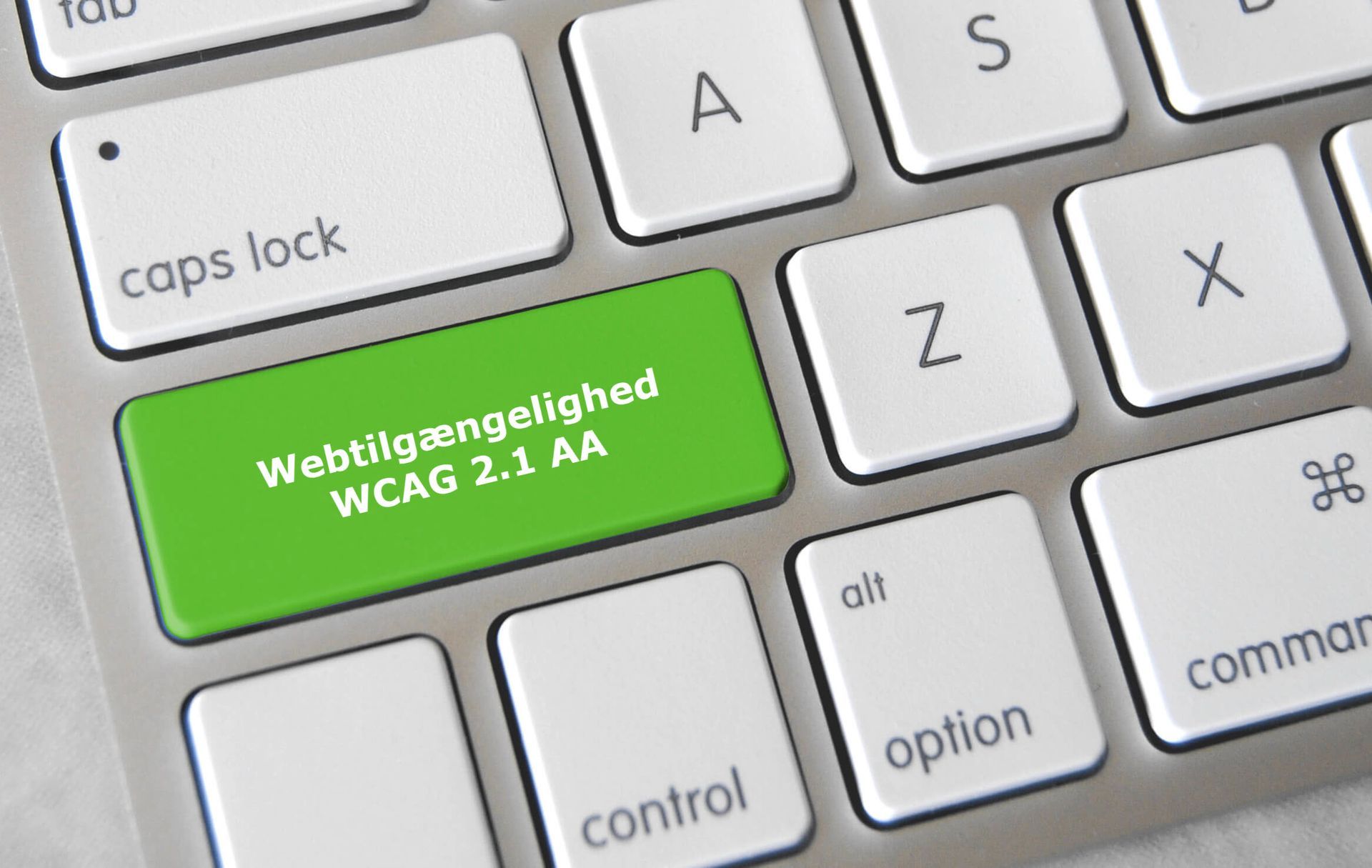 Alt du skal vide om WCAG