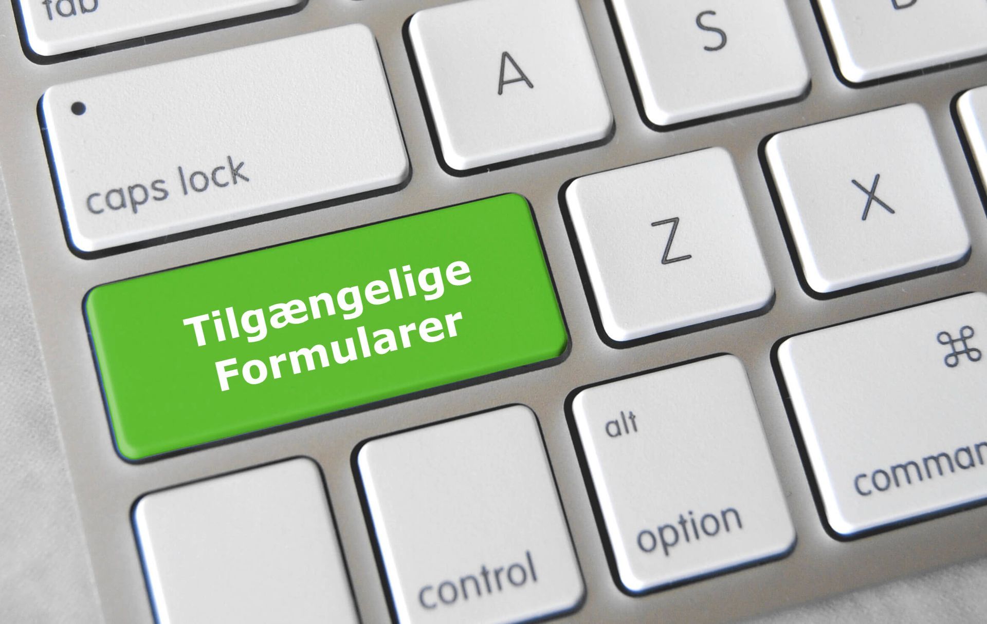 Webtilgængelighed: Fokus på Formularer