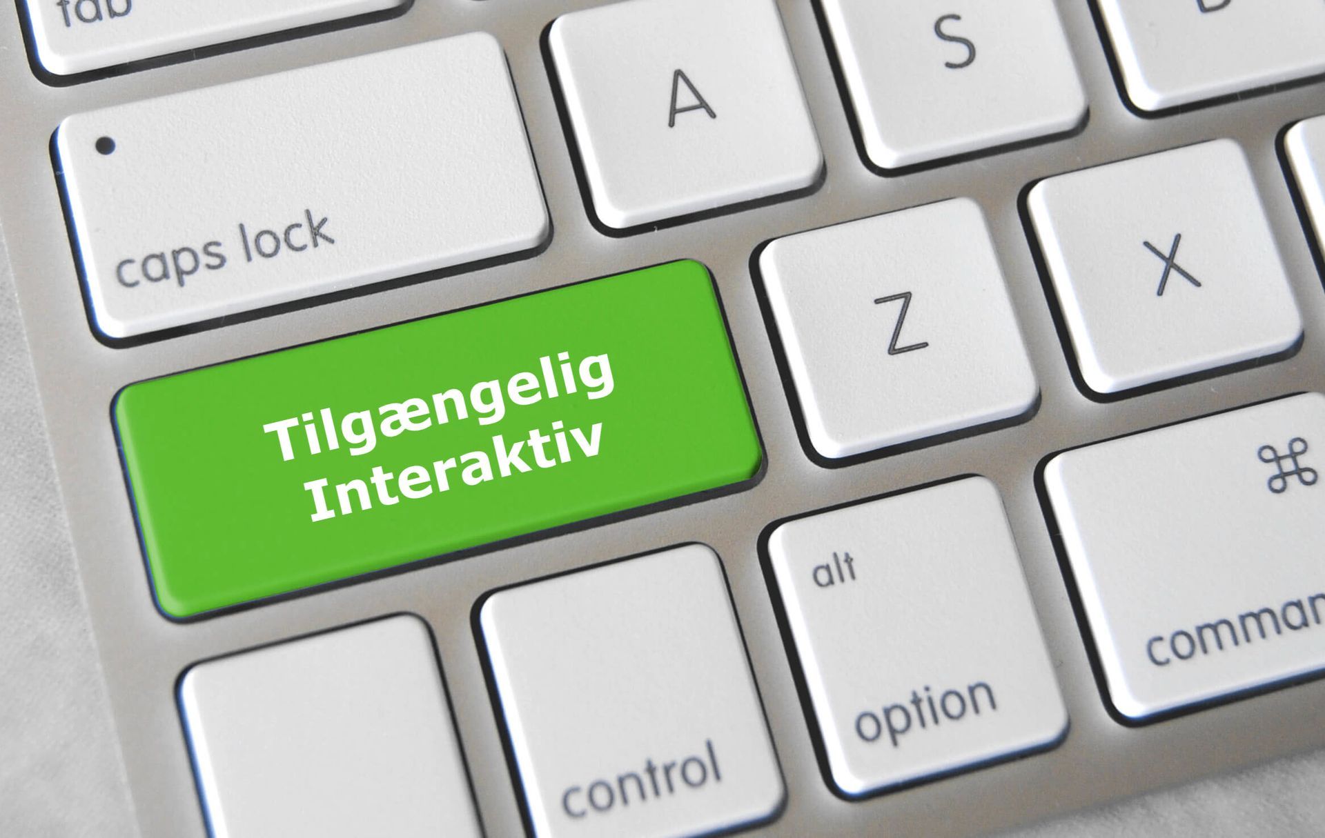 Webtilgængelighed: Interaktive elementer
