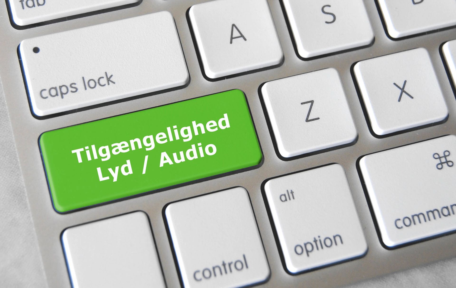Webtilgængelighed Lyd / Audio - DOBA guide til bedre lydbaseret indhold
