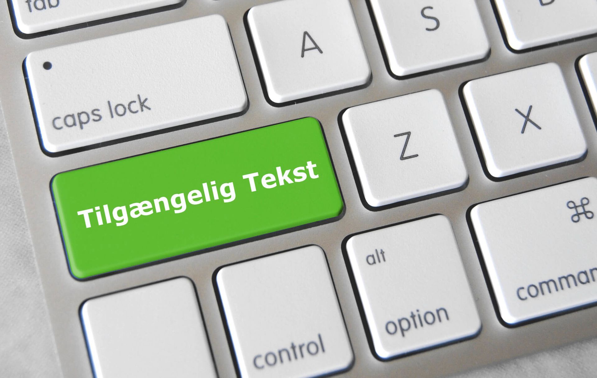 Webtilgængelighed: Fokus på Tekst